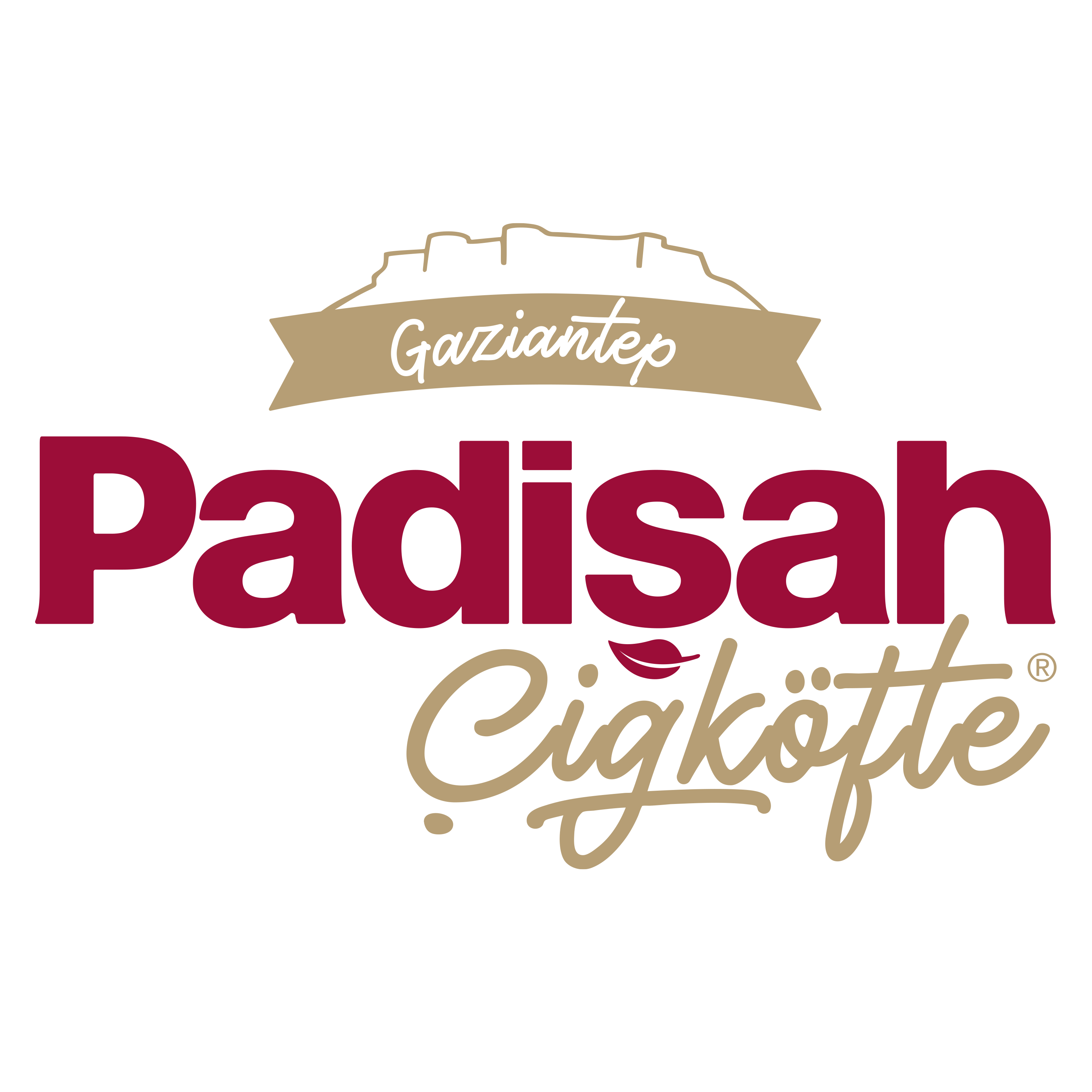 Padişah Çiğköfte